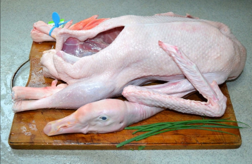 鹅肉的懒人做法,省时省力不费牙,一口气吃了三碗饭_腾讯新闻