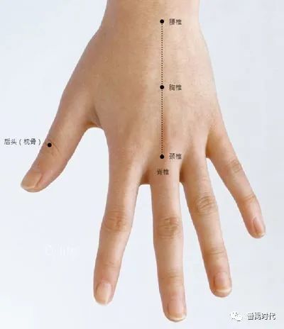 手背定位的背部全息简述