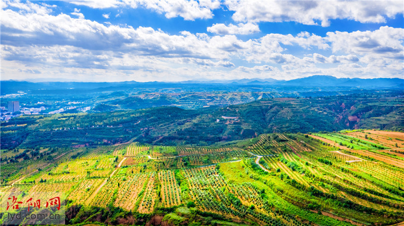 洛宁县凤翼山:荒山变绿洲 生态惠民生