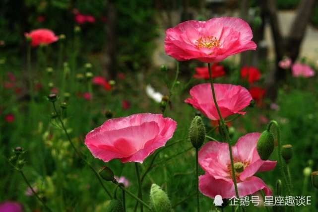 9月18日星座运势 双子另眼相看 天秤平心静气 水瓶人缘不错 星座运势 双子座 天秤座 贵人