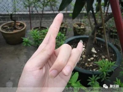 教你正确的翘兰花指的方法