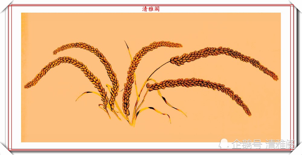 郎世宁|清代意大利画家郎世宁《瑞谷图》小楷欣赏，维俏维妙，可做字帖用