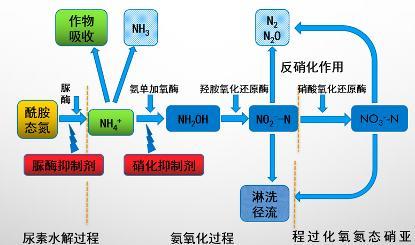 肥料|间接供养全球48％的人口，如果没有化肥世界会怎样？
