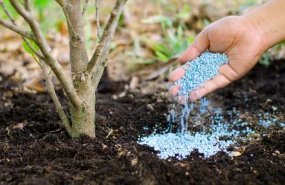 肥料|间接供养全球48％的人口，如果没有化肥世界会怎样？