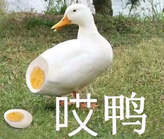 客车|北京交警：这么做会让你失去小客车指标