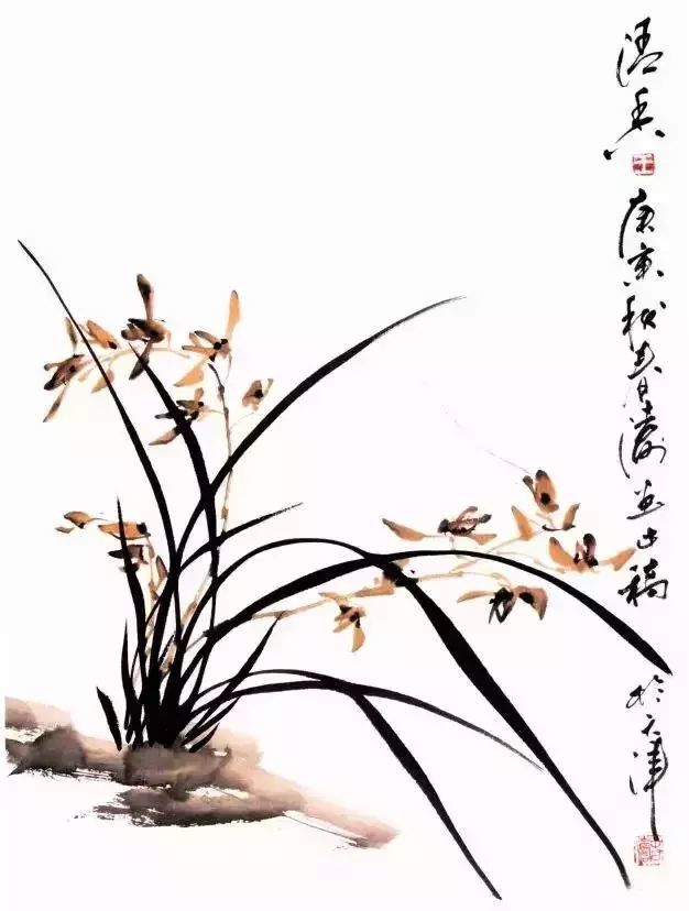 徐湛老师教你画兰花兰草主次虚实呼应等绘画关系大合集