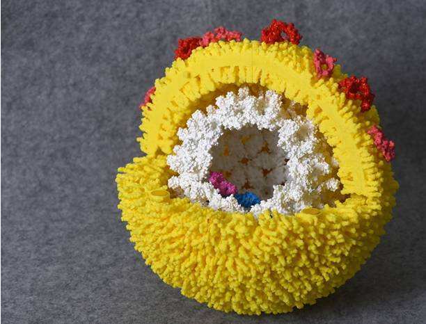 乙肝|乙肝在研新药对不同效价，衣壳组装调节剂，进行临床前评估