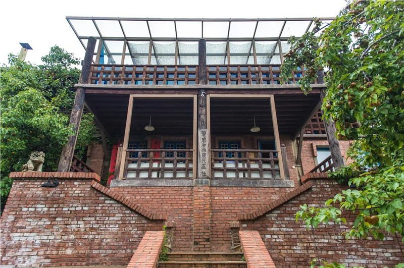 沈见华|78岁学画画 “老外婆”成了知名农民艺术家