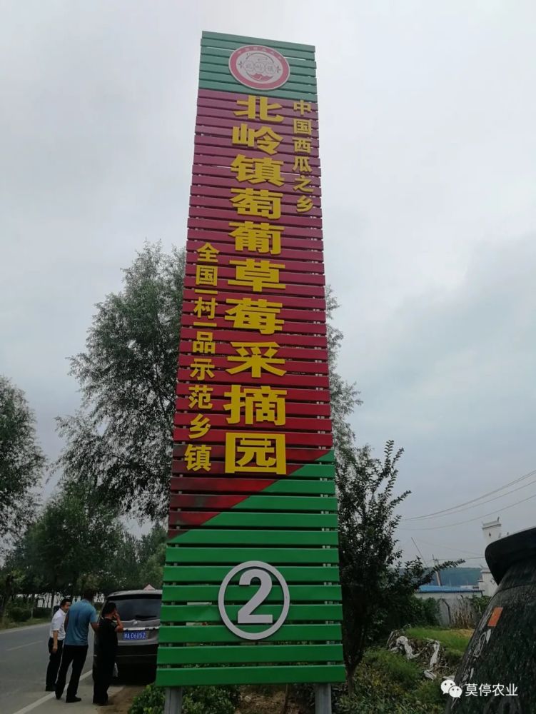 夏邑县北岭镇葡萄种植助力精准扶贫