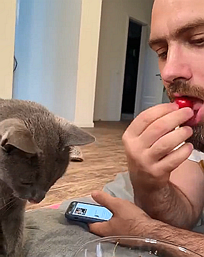 猫主子|这年头猫主子的日子也不好过，铲屎官：你可不能白吃白住