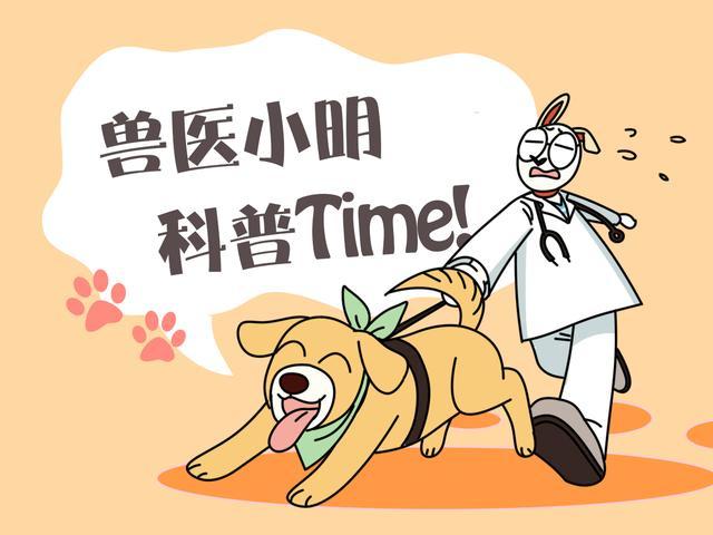 猫主子|这年头猫主子的日子也不好过，铲屎官：你可不能白吃白住