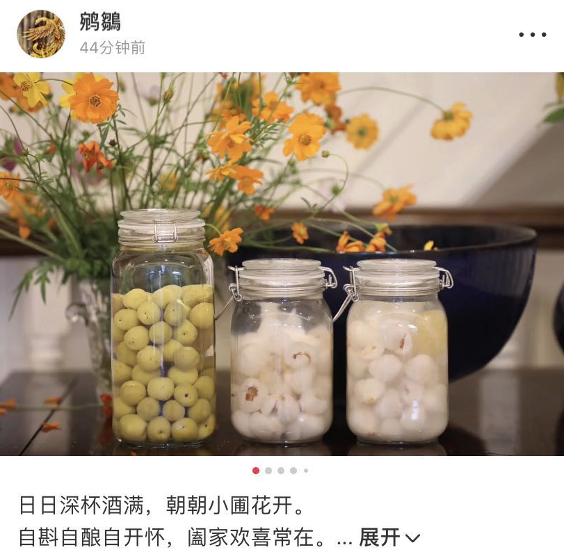 杜星霖|杜星霖月子期插花酿酒超有情调，表白69岁张纪中：过上了理想生活