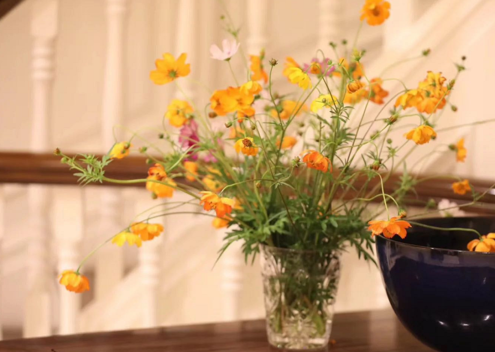 杜星霖|杜星霖月子期插花酿酒超有情调，表白69岁张纪中：过上了理想生活