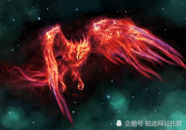 金凤,彩凤,火凤,雪凰,蓝凰,孔雀,大鹏,雷鸟,大风