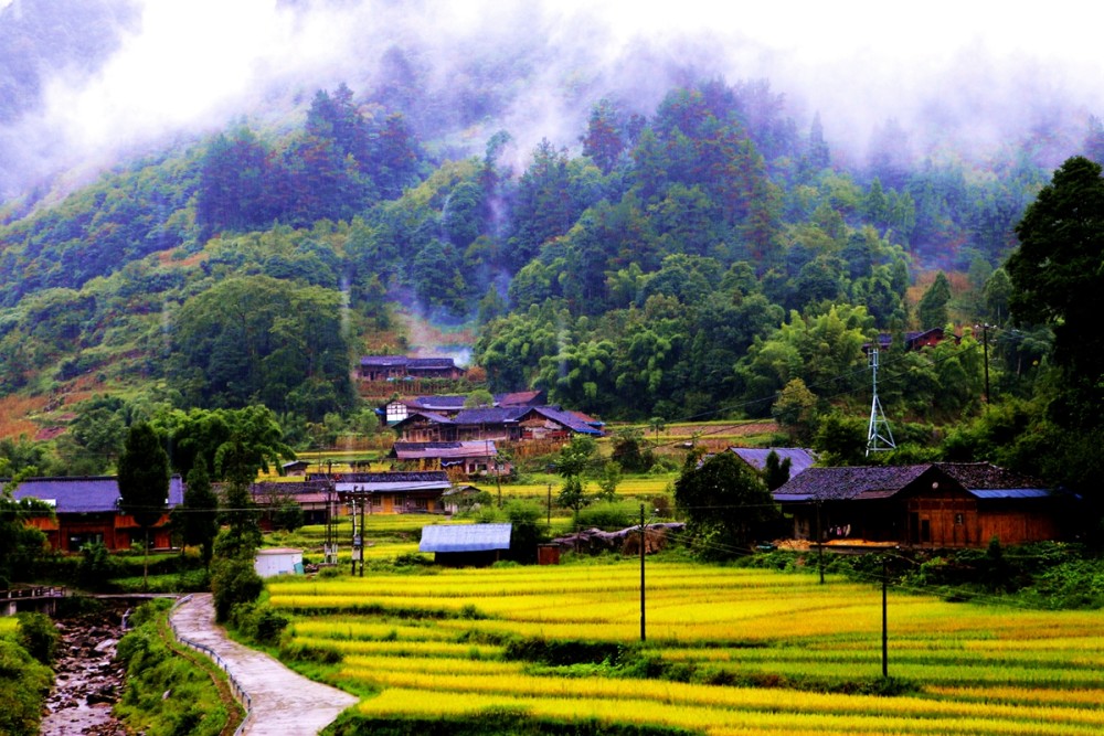 梧桐山早晨云雾缭绕，日落星辰满天