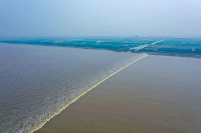 观潮去哪儿?指南收好