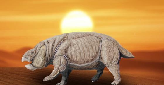 地球|科学家发现新灭绝事件，大雨下了1百万年，地球像“桑拿房”