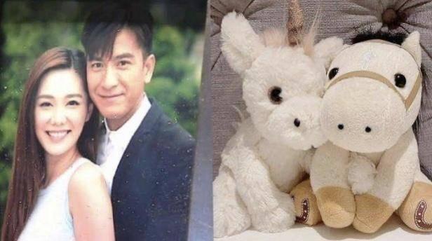 tvb|盘点TVB最佳情侣搭档，马国明成百搭视帝