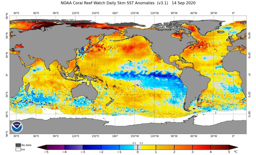拉尼娜|秋天闯入南方，今年冷的特别早？权威数据：确实，或与拉尼娜有关
