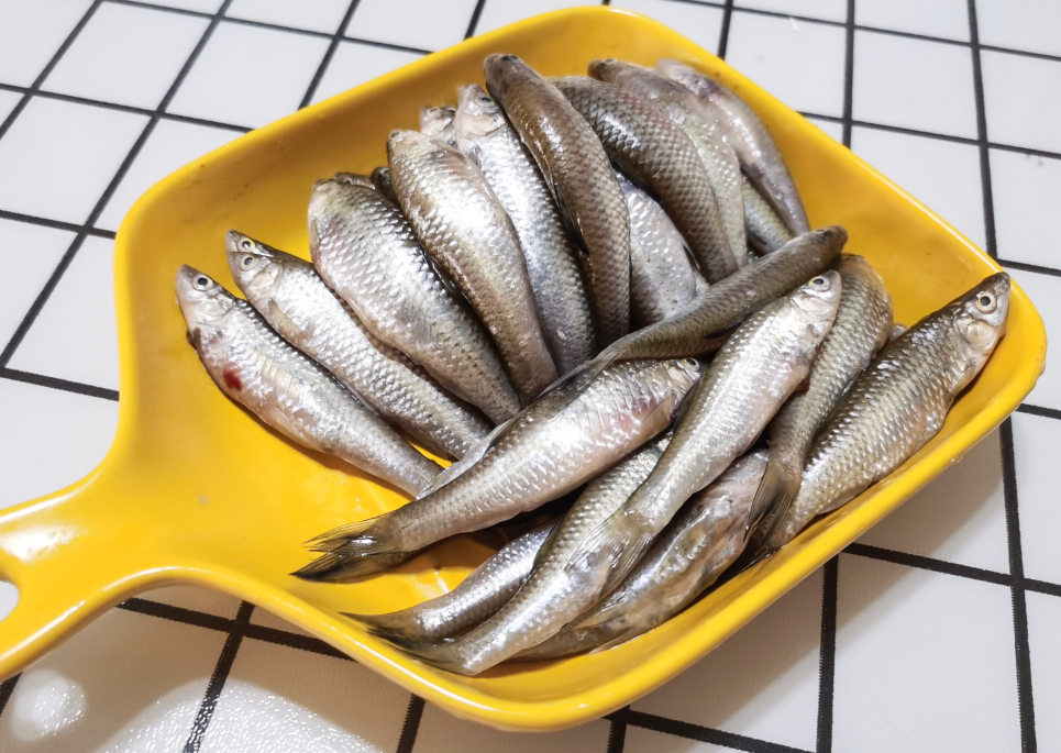 麦穗鱼先油炸再用香菜姜丝花椒回锅就是你忘不掉的味道