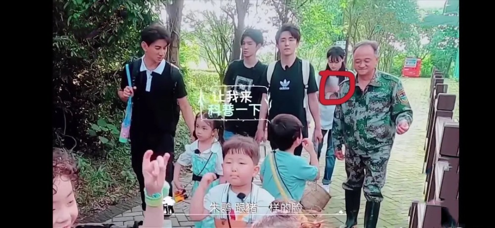 郑爽|郑爽总爱节目中玩手机，看完《吐槽大会》，终于知道原因了
