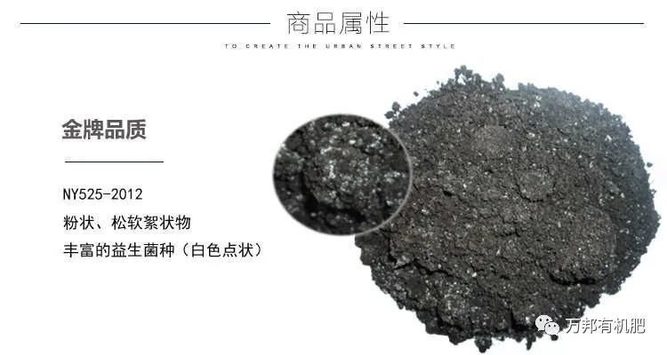 发酵|鸡粪肥一定要发酵处理，否则危害大！