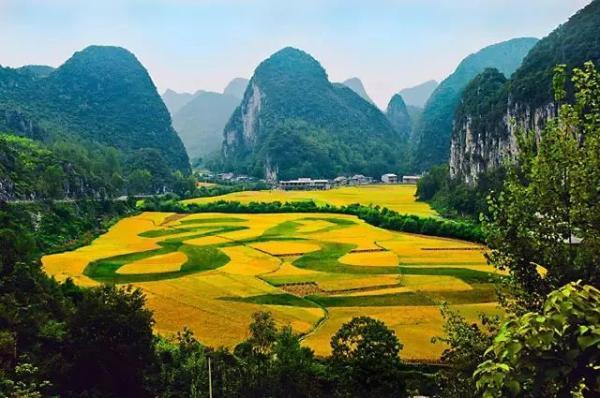 龙字田|火焰山|山里江南|龙宫风景区|西秀区|银杏|秋日|安顺
