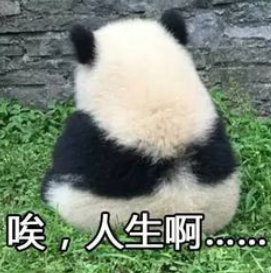 日本大学|无需赴日也能合格名校？盘点只用参加线上考试就可直申修士的日本大学！