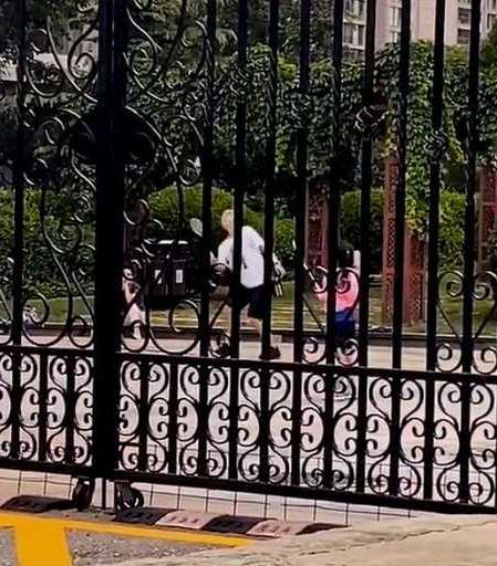 李小璐|李小璐发视频称喜欢帅哥，脖子红印引人猜测，网友直呼赶紧复婚