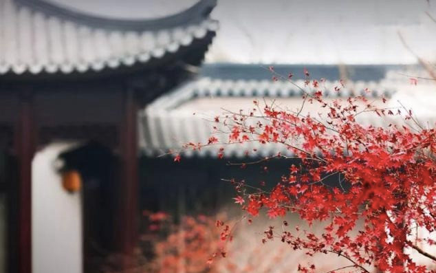 纪晓岚|上联“膏可吃，药可吃，膏药不可吃”，纪晓岚巧对下联，堪称经典