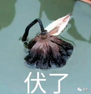 消费|男人好高贵！自己消费是理性，女人花钱就是任性？我呸
