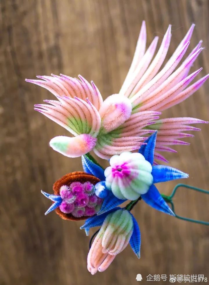 在唐代成为皇室贡品在清代成为宫花绒花