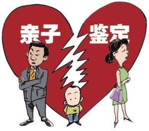 《离婚协议书》第二条;华某某与郑某某婚姻关系存续期间共同购置的