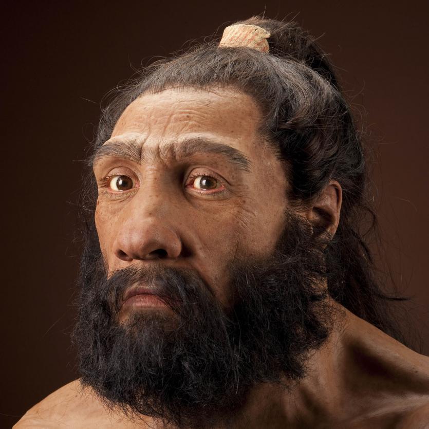 科学家|沙特发现距今12万年前人类脚印，科学家们能推断出什么