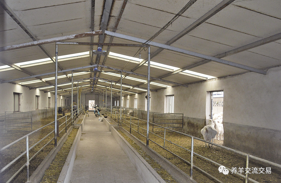 羊舍|5种最实用的羊舍类型！你家是哪种？