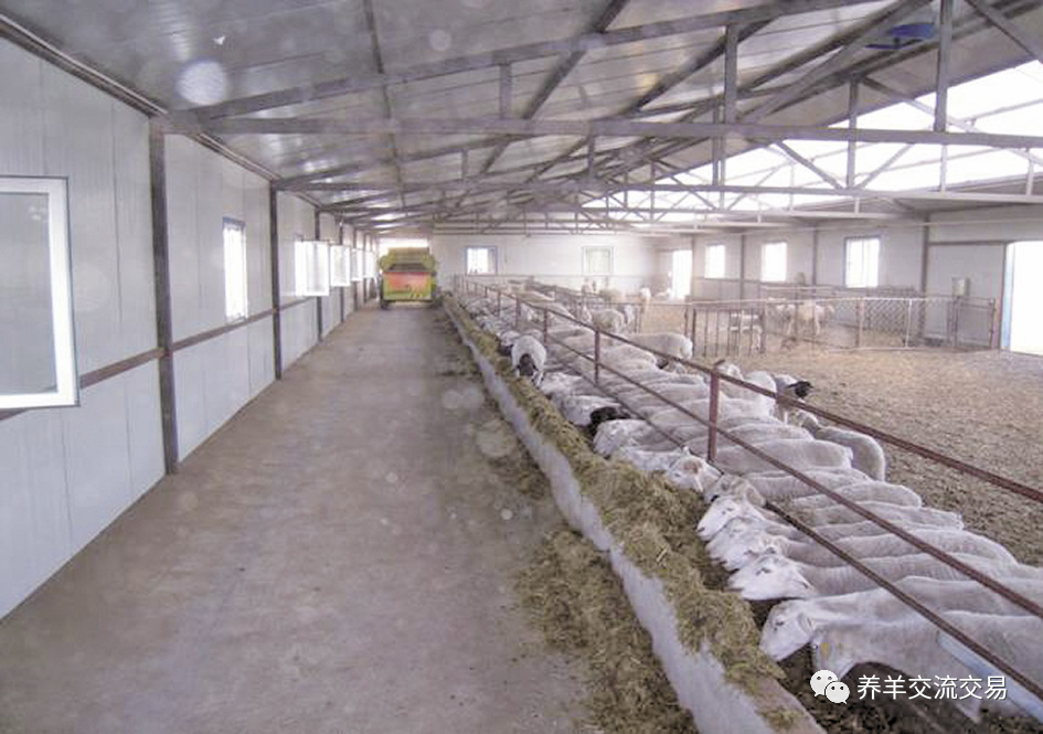 羊舍|5种最实用的羊舍类型！你家是哪种？