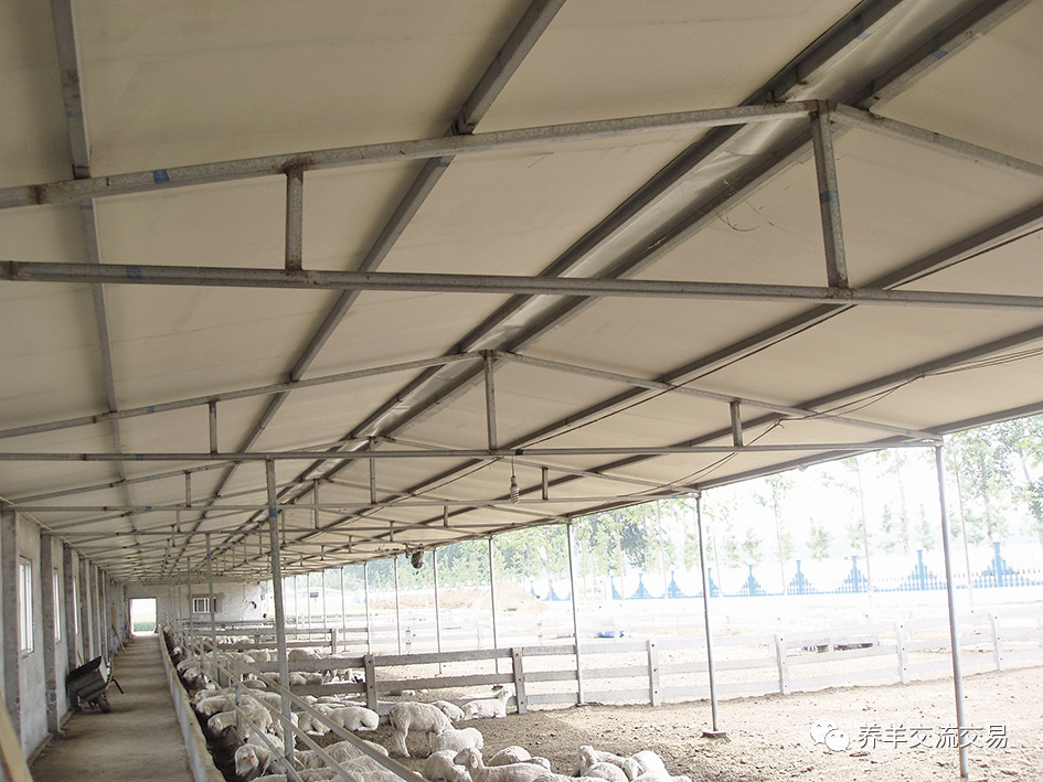 羊舍|5种最实用的羊舍类型！你家是哪种？