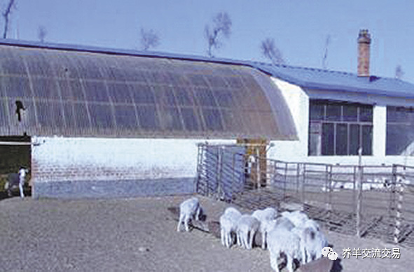 羊舍|5种最实用的羊舍类型！你家是哪种？