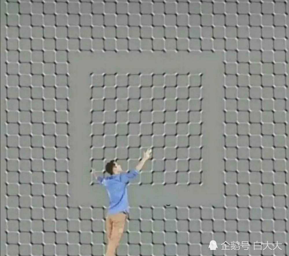 灯泡|看完这几张图，我再也不相信自己的眼睛了！