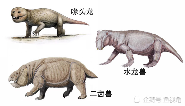 恐龙|2.3亿年前，地球下了200万年的雨，一把将恐龙推上了“王位”！