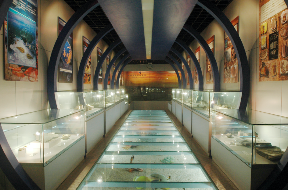 恐龙|【中国恐龙的新家】第十站——“霸主的接力棒”，中国地质大学逸夫博物馆