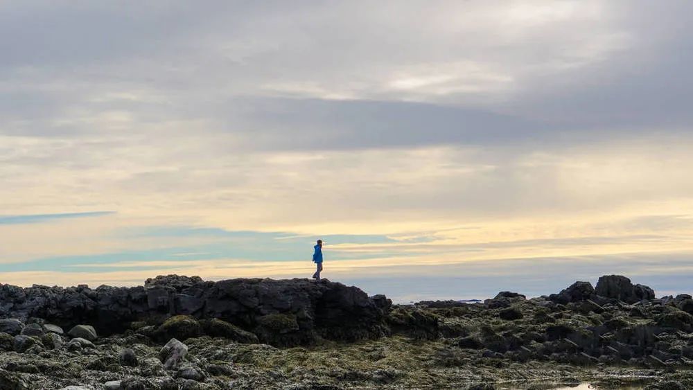 朋友圈|人到中年，千万别在朋友圈炫耀，看完你就懂了
