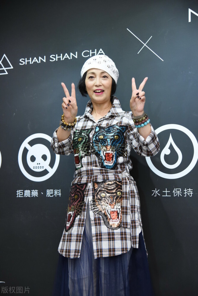 林正英生前女友石榴姐苑琼丹为何至今不生孩子原因很简单