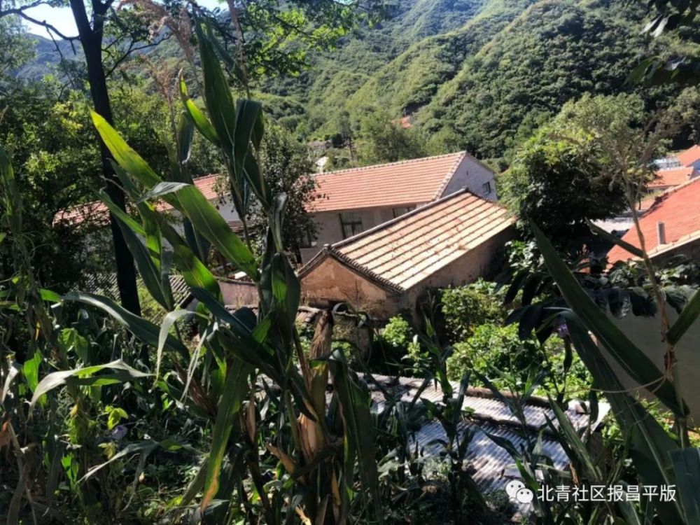 长峪城村|跟我走吧，咱们去看银河！在昌平来一场多彩多“滋”的旅程