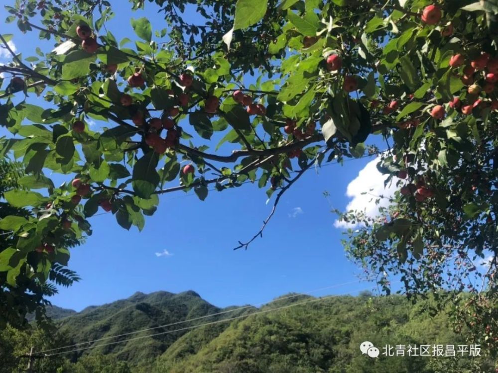长峪城村|跟我走吧，咱们去看银河！在昌平来一场多彩多“滋”的旅程