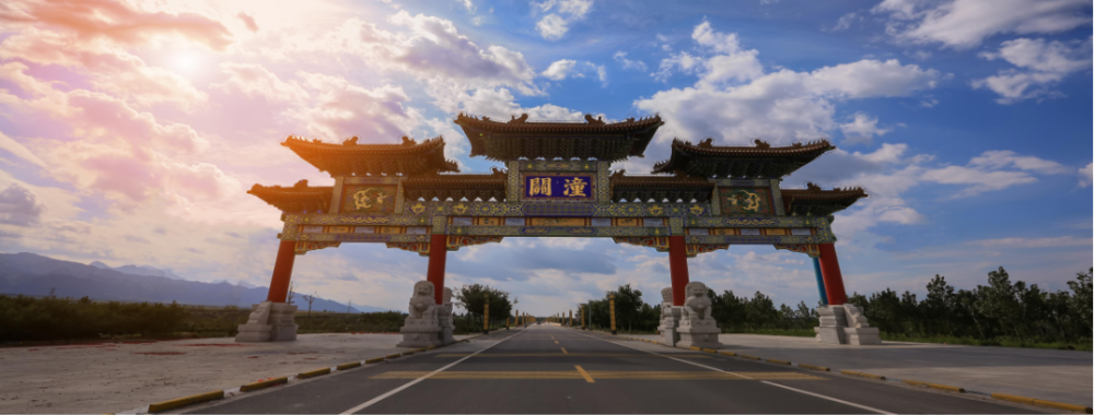 潼关县干在当下推进沿黄防护林提质增效和高质量发展