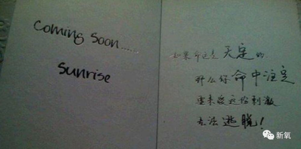 刘涛|刘涛老公半年欠了12亿再次宣告破产？！这婚怕是真的要离了……