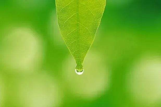 综合素质|【朗诵】修养，教养，素养，涵养