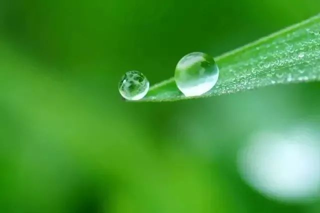 综合素质|【朗诵】修养，教养，素养，涵养