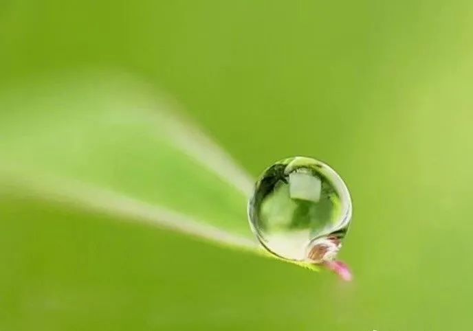 综合素质|【朗诵】修养，教养，素养，涵养